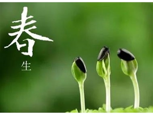 春季，怎么撫平頭發(fā)的“創(chuàng)傷”